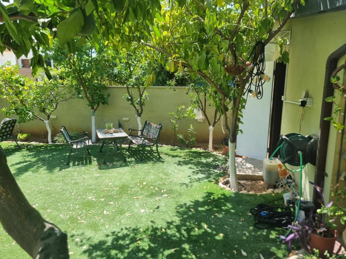 B&B Amit 18 Minutes From The Airport - אירוח כפרי עמית 18 דקות משדה תעופה Petach Tikva Dış mekan fotoğraf